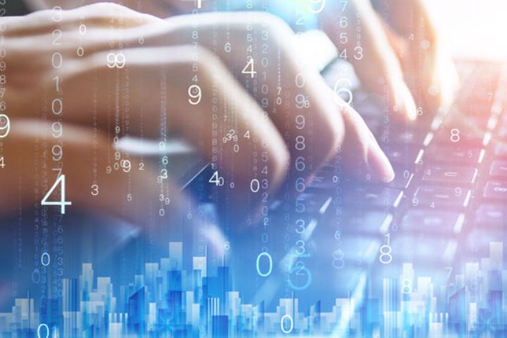 怎么逃出畜牲救援队：实用指南与深层真相